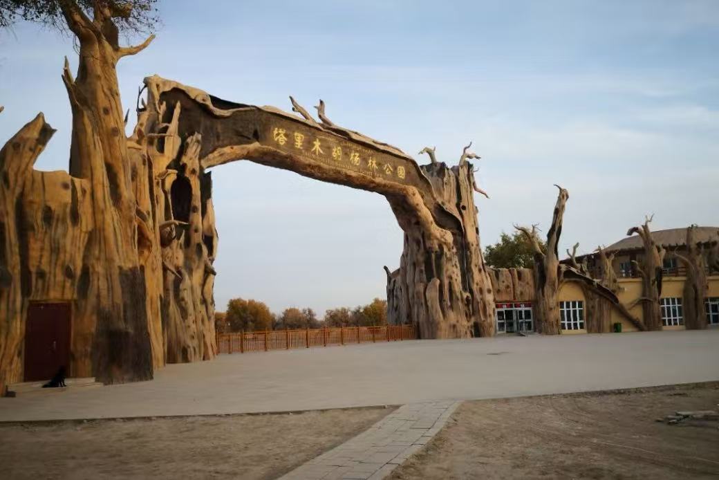 Luntai Populus Forest